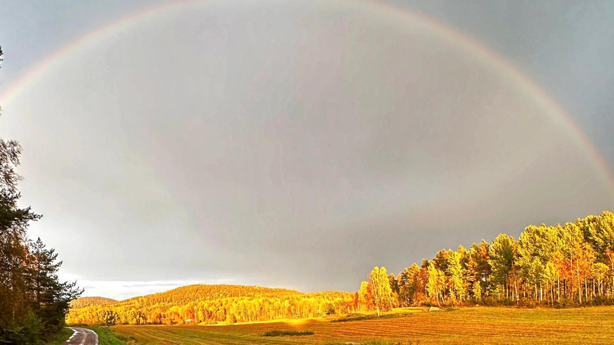 Kullerbacka Gästhus Segersta Dış mekan fotoğraf