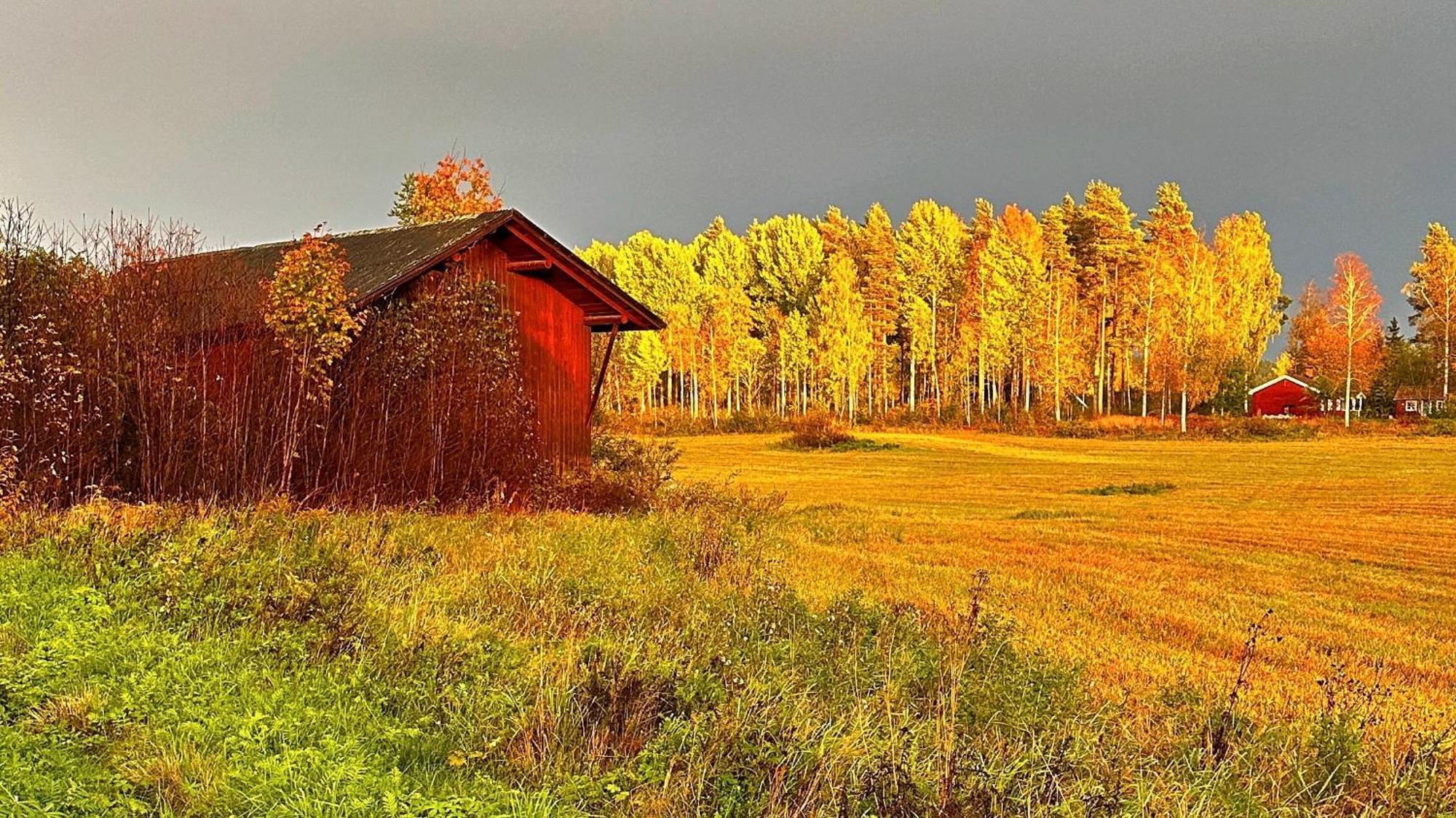 Kullerbacka Gästhus Segersta Dış mekan fotoğraf