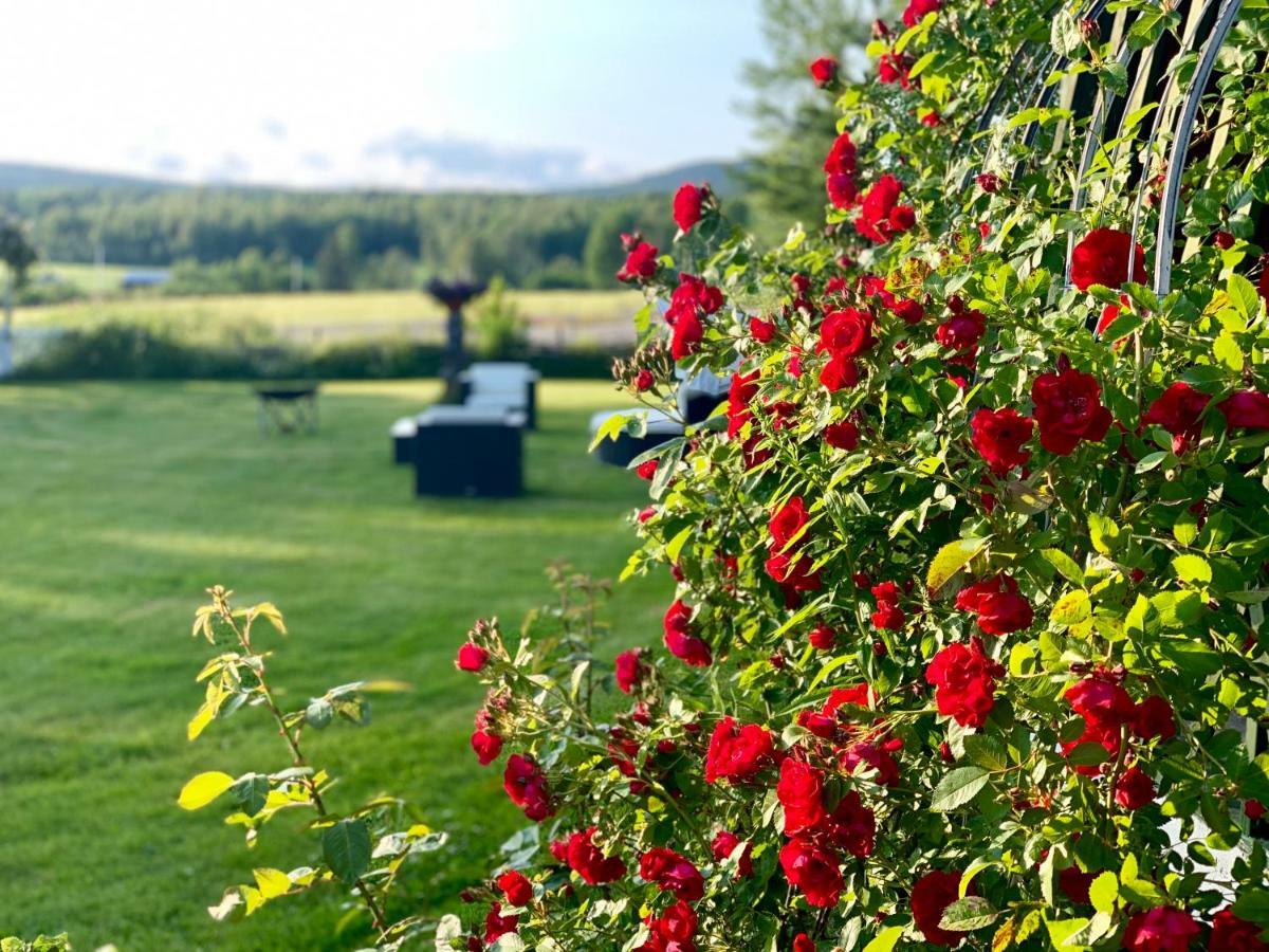 Kullerbacka Gästhus Segersta Dış mekan fotoğraf